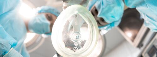 © Yakobchuk Olena - stock.adobe.com © Yakobchuk Olena - stock.adobe.com