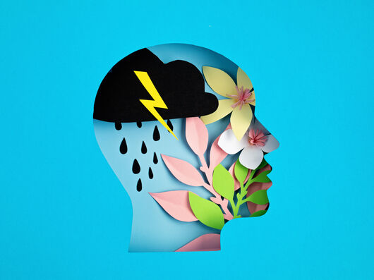 Das Bild zeigt die Silhouette eines menschlichen Kopfes vor einem blauen Hintergrund. Innerhalb des Kopfes sind kontrastierende Elemente dargestellt: Auf der linken Seite befindet sich eine schwarze Wolke mit Regentropfen und einem gelben Blitz, die stürmisches Wetter oder negative Emotionen symbolisieren. Auf der rechten Seite sind bunte Blumen und grüne Blätter zu sehen.