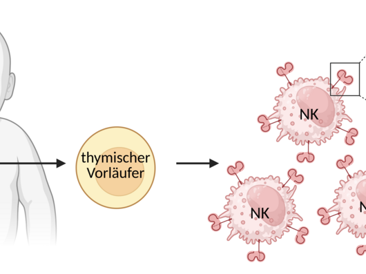 Graphische Darstellung des Erforschten