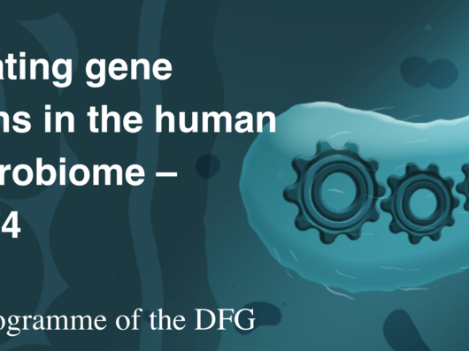 Illustration einer Zelle mit Zahnrädern darin. Links neben der Zelle steht der Text Illuminating Gene Functions in the Human Gut Microbiome SPP 2474 Priority programme of the DFG.