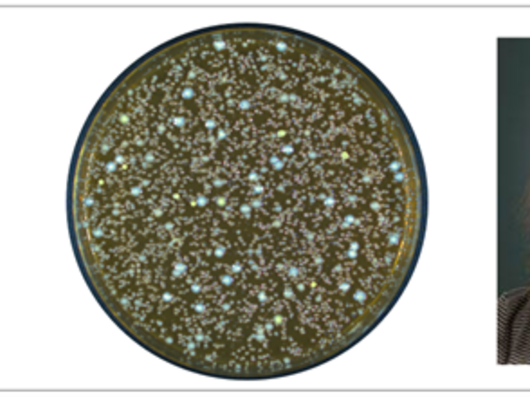 Collage mit den Portraitfotos eines Mannes und einer Frau, in der Mitte befindet sich ein Kreis mit bunt gefärbten Punkten. Es handelt sich vermutlich um die Aufnahme unter einem Mikroskop.