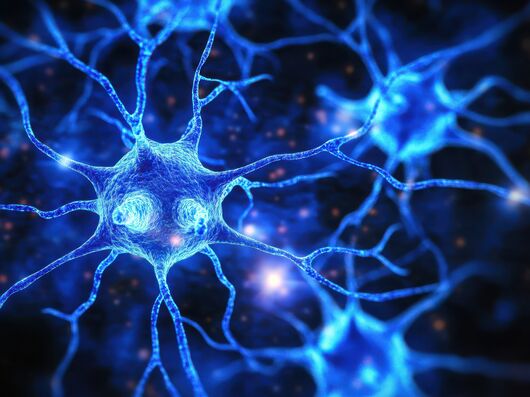 KI-generiertes Bild von Nervenfasern (Axonen)